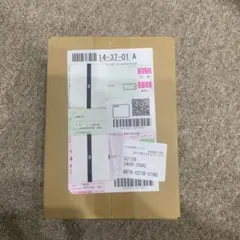 完全未開封品 【抽選販売】ハイクラスパック MEGAドリームex BOX