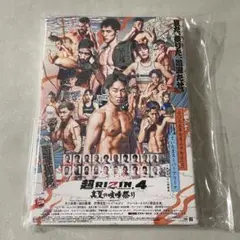 超RIZIN4 アートボード