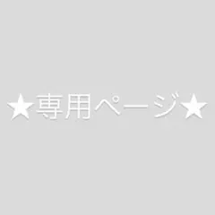 専用出品