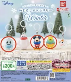 ディズニー めじるしアクセサリー WINTER ミッキー スノーギース プー