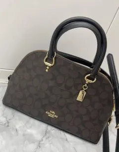 2026年最新】coach シグネチャー ショルダーバッグ 2wayの人気アイテム