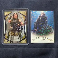 Item thumbnail for item a7f79dea-9a67-45a5-9813-f3d1110d46c9