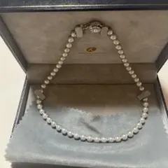 Item thumbnail for item 042cff2b-5d74-4318-aa10-872215c3a5ad