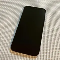 【ジャンク】訳あり　※コメント見て下さい　部品取り　iPhone 12proのサムネイル