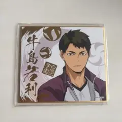 ハイキュー 牛島若利 箔押しイラストカード ハイキュー 箔押しイラストカード 牛島若利 牛若 ハイキュー展 - メルカリ