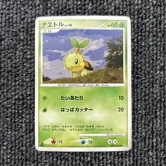 2026年最新】ナエトル lv9の人気アイテム - メルカリ