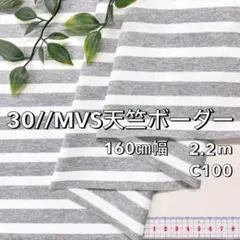 NO,10-107 160cm幅 2.2m 30//MVS天竺ボーダー