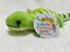 【新品タグ付き】レオパのきいちゃん ぬいぐるみ　グリーンイグアナのみどりちゃん