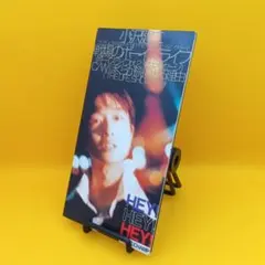 2026年最新】小沢 健二の人気アイテム - メルカリ