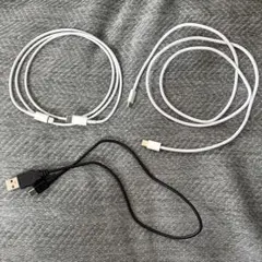 Apple純正USB-C編み込み・純正Lightning・Type-Bケーブル