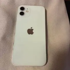 shiba様専用ぺージでm(._.)mAppleihone12ミントグリ➖ン