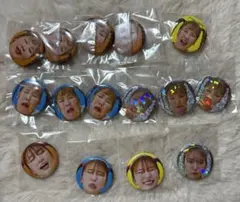 平成フラミンゴ 缶バッジ まとめ売り 15点