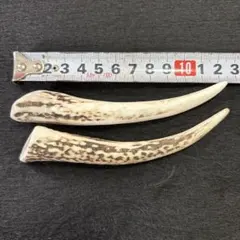 超小型犬用４生角使用‼️天然蝦夷鹿の角ドッグガム２本セット、ワンチャンカミカミのサムネイル
