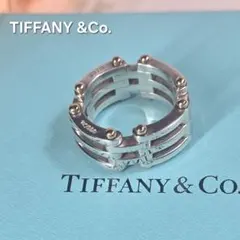 【希少✨】Tiffany&Co ティファニー ゲートリング 925/750