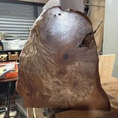 Item thumbnail for item 502d1940-b310-4522-bd3e-78b7a4adca07