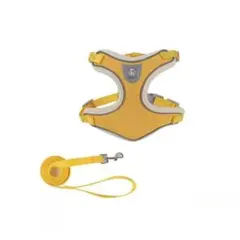 Item thumbnail for item 2130bb84-ac8e-4464-8a36-08437d1d2d73