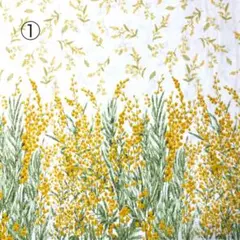 nontan様 リクエスト 2点 まとめ商品