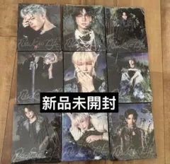 &TEAM Back to life ROAR BtL 新品未開封 9形態セット