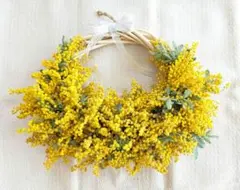 ＊ドライフラワー　ミモザ　 ハーフリース　28センチ
