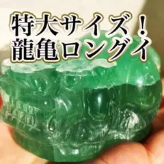 天然 螺化石 龍亀（ロングイ）置物 天然 螺化石 龍亀（ロングイ）置物 - メルカリ
