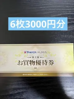 ヤマダ電機　株主優待券　3000円分