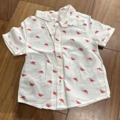 Item thumbnail for item deaf6244-ca13-40c7-b8d2-66575d9cdbe7