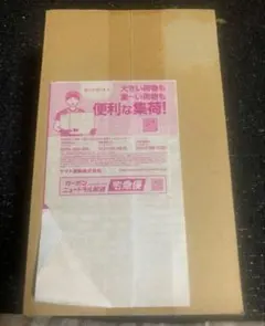 新品・未開封　ポケモンセンター　ヒロシマ　スペシャルBOX