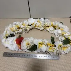 レイ