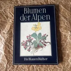 アンティーク 洋書