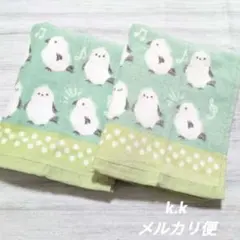 フェイスタオル シマエナガ ことり アニマル グリーン 北欧 2枚 新品