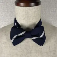 Item thumbnail for item 052f0de0-856a-48cf-bdaa-361784008222