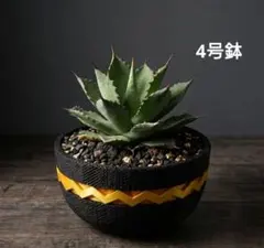 3Dプリンター鉢 4号　漆黒×金帯　ジャイロイドメッシュ　アガベ根塊植物用のサムネイル