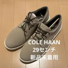 Item thumbnail for item 28c6f1ba-f0fc-41d3-a703-ff27fa102492