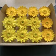91・ヘリクリサムドライフラワー 花材 リース ハーバリウム ガーランド