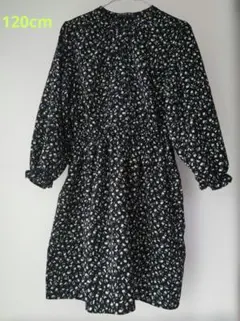 Item thumbnail for item b4d53df6-c002-44ba-8d57-5b9df7ad8ef0