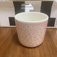 プケッティ ラテマグ