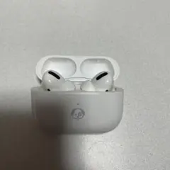 AirPods Pro 第一世代　ノイズキャンセリング　犬