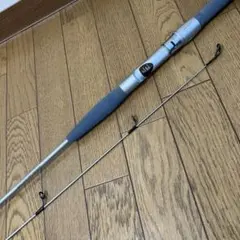 2025年最新】ファントム パシフィック ダイワの人気アイテム - メルカリ