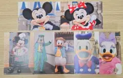 ディズニーファン　付録　ポストカード　実写　まとめ売り　7枚