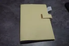 Item thumbnail for item b667e7fd-601e-4a8c-99a5-044a88db2e8e