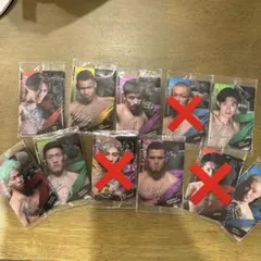 RIZINウエハース 2025 平本蓮 ラジャブアリ・シェイドゥラエフ 8枚