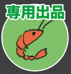 専用出品