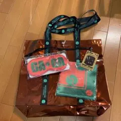 Lady Gagaクロマティカボール VIP席コンサートグッズ 非売品 - メルカリ