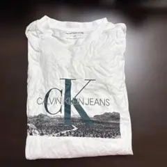 カルバンクラインロンT