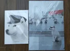 SoftBankお父さんノート・お父さんクリアファイル