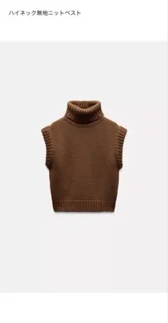 ZARA ノースリーブセーター