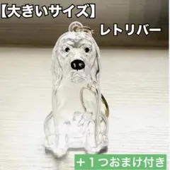 Item thumbnail for item 06ecc98b-2c83-4c5d-b554-0fa1d31bf2fa