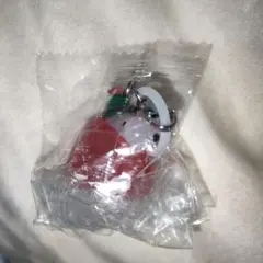 PEANUTS めじるしアクセサリー FUNNY ver. スヌーピーC