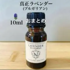 くぅ～たん様 リクエスト 3点 まとめ商品