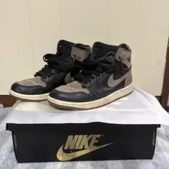 NIKE Jordan 「 palomino 」 パロミノのサムネイル
